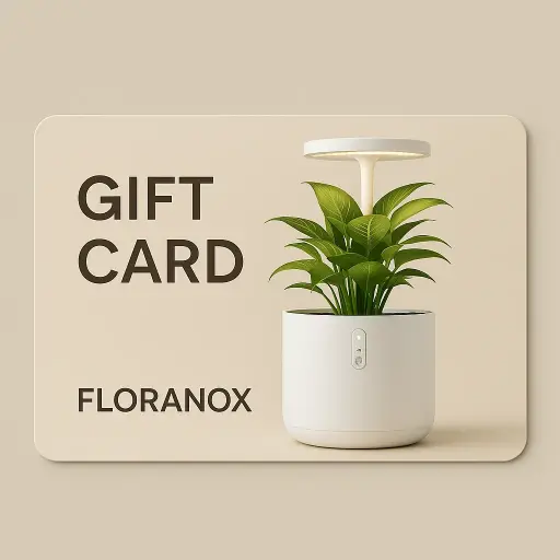 Carte-cadeau